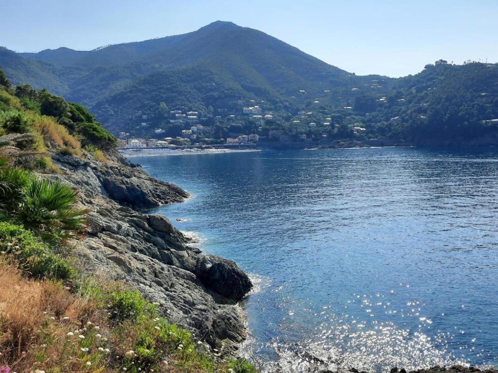 Appartamento Il Vicoletto La Spezia Eksteriør billede